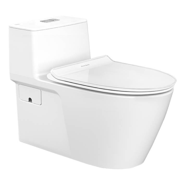 toilets-one-piece-toilet.png